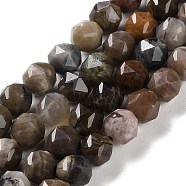 Natural Petrified Wood Beads Strands, Faceted, Double Hearted & Star Cut Beads, 7~8.5x7.5~8mm, Hole: 0.8~1mm, about 48~50pcs/strand, 15.16~15.55 inch(38.5~39.5cm)(G-NH0021-A12-01)