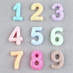 Opaque Resin Decoden Cabochons, Rose Number, Mixed Color, 26.5~28.5x14~20.5x5.5~7mm(RESI-Q230-04)