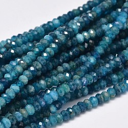 Faceted Rondelle Natural Apatite Bead Strands, 4x3mm, Hole: 0.8mm, about 156pcs/strand, 15.5 inch(G-F289-48B)