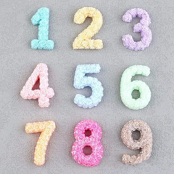 Opaque Resin Decoden Cabochons, Rose Number, Mixed Color, 26.5~28.5x14~20.5x5.5~7mm