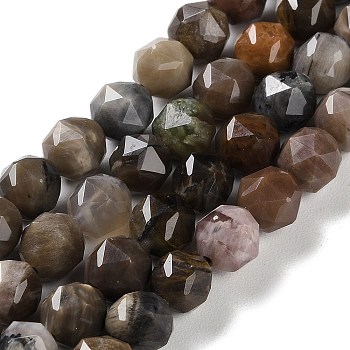 Natural Petrified Wood Beads Strands, Faceted, Double Hearted & Star Cut Beads, 7~8.5x7.5~8mm, Hole: 0.8~1mm, about 48~50pcs/strand, 15.16~15.55 inch(38.5~39.5cm)