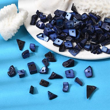Dyed Natural Freshwater Shell Chips Beads(X-SHEL-O001-12C)-2