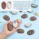 Natural Paua Shell Display Decorations(DJEW-WH0042-148A)-3