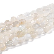 Natural White Moonstone Beads Strands, Nuggets, Tumbled Stone, 8~11x7.5~9x4.5~7mm, Hole: 0.8mm, about 42pcs/strand, 15.94''(40.5cm)(G-G018-05)