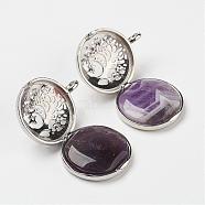 Natural Amethyst Pendants, with Brass Diffuser Locket Findings, Flat Round with Tree, 31x25x8mm, Hole: 4mm(G-G910-B13)