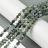 Natural Moss Agate Beads Strands, Round, 3mm, Hole: 0.5mm, about 127pcs/strand, 15.75''(40cm)(G-K365-C06-01)