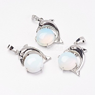 Opalite Pendants, with Brass Findings, Dolphin, Platinum, 30x23x8mm, Hole: 5x8mm(G-G713-A12)