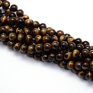 Natural Grade AB Tiger Eye Round Beads Strands, 6mm, Hole: 1mm, about 59~63pcs/strand, 15.5 inch(G-O047-02-6mm)
