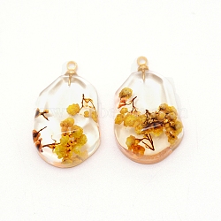Resin with Iron Ring, for Dried flower Pendants Accessories, Yellow, 27x16.5x9mm, Hole: 1.8mm(RESI-TAC0007-04G)