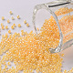 12/0 Grade A Round Glass Seed Beads(SEED-N001-B-148)-1