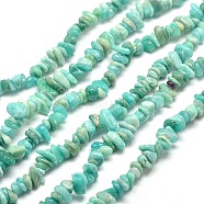Natural Amazonite Chip Beads Strands, 5~8x5~8mm, Hole: 1mm, about 31.5 inch(G-M205-64A)
