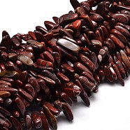 Natural Brecciated Jasper Chip Beads Strands, 8~30x5~12mm, Hole: 1mm, about 15.3 inch~15.7 inch(X-G-E271-21)