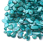 Shell Beads, No Hole Beads, Dyed, Chip, Dark Cyan, 1~15x1~15x0.5~5mm, about 450g/bag(SHEL-R020-07)