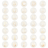 Elite Natural Shell Beads, Flat Round with Golden Tone Metal Number & Letter Slice, Seashell Color, 8x3~5mm, Hole: 0.5~0.9mm(SHEL-PH0001-53)