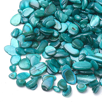 Shell Beads, No Hole Beads, Dyed, Chip, Dark Cyan, 1~15x1~15x0.5~5mm, about 450g/bag