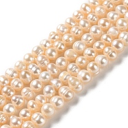 Natural Cultured Freshwater Pearl Beads Strands, Potato, Grade A, Bisque, 6~7x6~6.5mm, Hole: 0.6mm, about 54~57pcs/strand, 13.39~13.50 inch(34~34.3cm)(PEAR-E018-78)