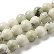 Natural Dendritic Jasper Beads Strands, Round, 10mm, Hole: 1.5mm, about 40pcs/strand, 15.51''(39.4cm)(G-H298-A15-04)