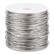 304 Stainless Steel Wire, Round, Stainless Steel Color, 20 Gauge, 0.8mm, about 393.70 Feet(120m)/Roll(STAS-WH0016-47P-01)