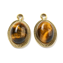 PVD Vacuum Plating 304 Stainless Steel Pendants, Natural Tiger Eye Oval Charms, Real 18K Gold Plated, Real 18K Gold Plated, 12.5x8x4mm, Hole: 1.5mm(STAS-L278-126G)