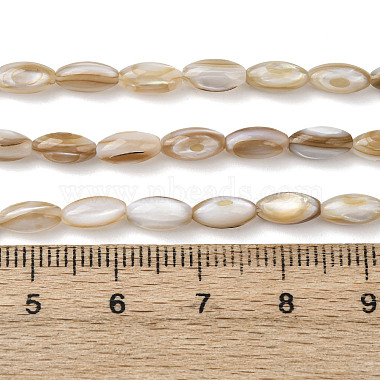 Natural Freshwater Shell Beads Strands(SHEL-K006-78A)-4