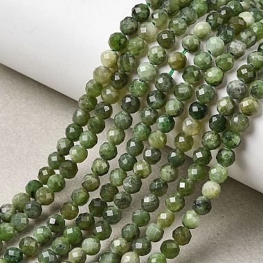 Natural Green Jasper Beads Strands(G-RM250101-C10)-1