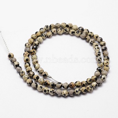 Chapelets de perles en jaspe dalmatien naturelle(X-G-D840-49-4mm)-2