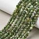 Natural Green Jasper Beads Strands(G-RM250101-C10)-1