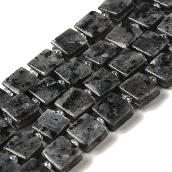 Natural Larvikite Beads Strands, Square, with Seed Beads, 10~10.5x10~10.5x5~5.5mm, Hole: 1.6mm, about 32pcs/strand, 15.16~15.35 inch(38.5~39cm)