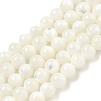 Natural Sea Shell Beads Strands, Round, Creamy White, 6mm, Hole: 1mm, about 68pcs/strand, 15.75 inch