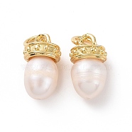Rack Plating Shell Pearls Charms, with Brass Findings and Jump Ring, Long-Lasting Plated, Cadmium Free & Lead Free, Oval, Real 18K Gold Plated, 13~14x7mm, Hole: 3mm(ZIRC-C042-16G)