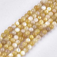 Yellow Shell Beads Strands, Round, Gold, 5mm, Hole: 0.8mm, about 79pcs/strand, 15.1 inch(SHEL-S274-93D)