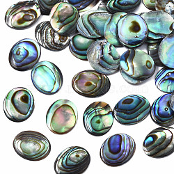 Natural Abalone Shell/Paua Shell Cabochons, Oval, Colorful, 10x8x1mm(SSHEL-N034-118)