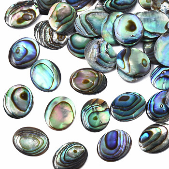 Natural Abalone Shell/Paua Shell Cabochons, Oval, Colorful, 10x8x1mm