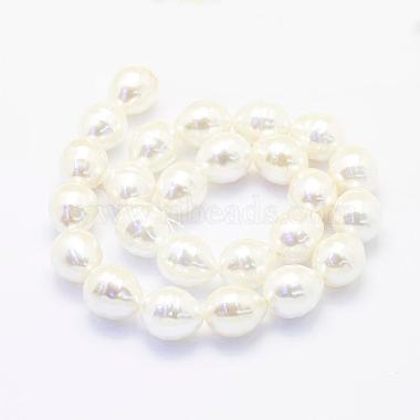 Shell Pearl Beads Strands(BSHE-P024-12A)-2