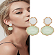 1 Pair Resin Dangle Stud Earrings(EJEW-LP0004-82B)-1