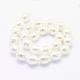 Shell Pearl Beads Strands(BSHE-P024-12A)-2