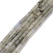 Natural Labradorite Beads Strands, Column, 13x4mm, Hole: 1.4mm, about 28pcs/strand, 15.20''(38.6~39.1cm)(G-D464-08)