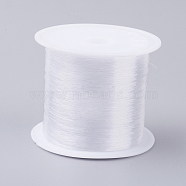 Fishing Thread Nylon Wire, Clear, 0.4mm, about 39.37 yards(36m)/roll(NWIR-G015-0.4mm-01)