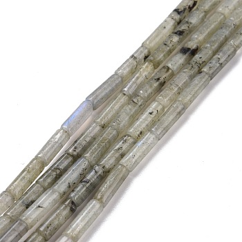 Natural Labradorite Beads Strands, Column, 13x4mm, Hole: 1.4mm, about 28pcs/strand, 15.20''(38.6~39.1cm)