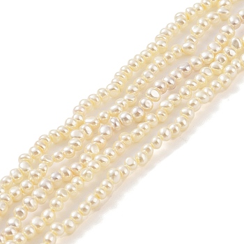 Electroplated Shell Pearl Beads Strands, Potato, Moccasin, 3.5x3~3.5mm, Hole: 1mm, about 127pcs/strand, 16.14 inch(41cm)