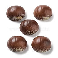 Opaque Resin Decoden Cabochons, Imitation Nut, Chestnuts, Coconut Brown, 25.5x23x14.5mm(RESI-H156-02-24)