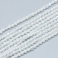 Natural Rainbow Moonstone Beads Strands, Grade AAA, Faceted, Round, 2.5~3mm, Hole: 0.6mm, about 153~162 pcs/Strand, 15.35 inch(39cm).(G-D0003-E91-3MM)