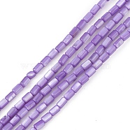 Natural Freshwater Shell Dyed Beads Strands, Column, Medium Purple, 4.8x3mm, Hole: 0.8mm, about 78pcs/strand, 14.96''(38cm)(SHEL-M018-12-04)