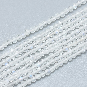 Natural Rainbow Moonstone Beads Strands, Grade AAA, Faceted, Round, 2.5~3mm, Hole: 0.6mm, about 153~162 pcs/Strand, 15.35 inch(39cm).