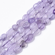 Natural Amethyst Beads Strands, Tumbled Stone, Nuggets, 6~8x6~8x6~8mm, Hole: 1mm, about 40~43pcs/strand, 15.75 inch(40cm)(G-R465-52B)