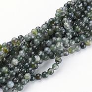 Natural Moss Agate Beads Strands, Round, about 6mm in diameter,  hole: 0.8mm, about 59pcs/strands, 15-16 inch(GSR6mmC001)