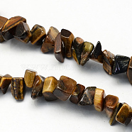 Natural Tiger Eye Stone Bead Strands, Chip, 8~18x6~12x3~7mm, Hole: 1mm, about 160pcs/strands, 34.6 inch(G-R192-B32)