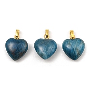 Natural Apatite Pendants, Heart Charms with Golden Tone Brass Snap on Bails, 18x15x6mm, Hole: 6x3mm(G-I311-A47-G)