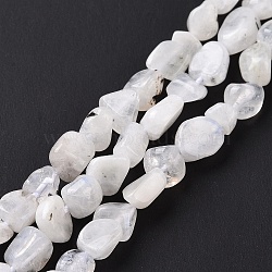 Natural Rainbow Moonstone Beads Strands, Nuggets, 6~10.5x6~7.5x4~5mm, Hole: 0.8mm, about 50~55pcs/strand, 15.94''(40.5cm)(G-A208-12)