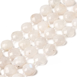 Natural Rainbow Moonstone Beads Strands, Faceted, Flat Round, with Seed Beads, 10.5x6mm, Hole: 1mm, about 33pcs/strand, 15.47''(39.3cm)(G-B094-A06-02)